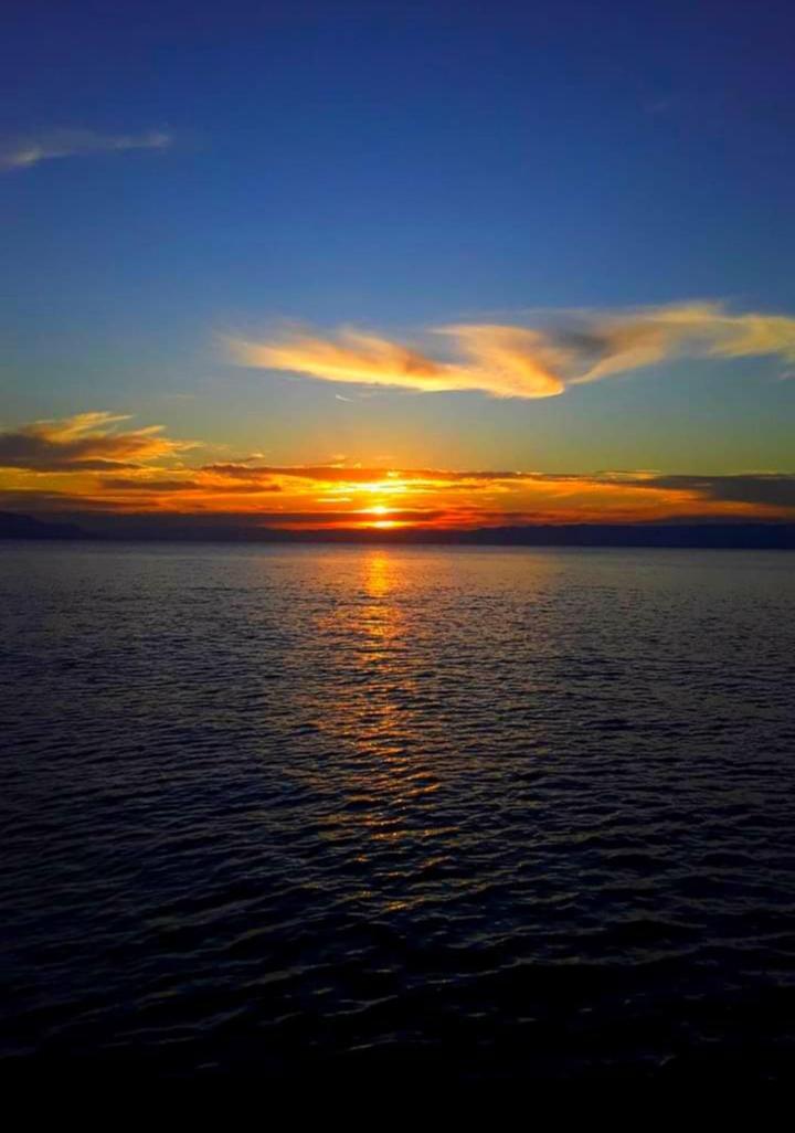 Chales Mata Atlantica De Ubatuba Exteriör bild